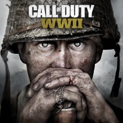 Прокат Call of Duty WWII | Call of Duty WW 2 от 7 дней PS4