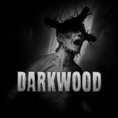 Прокат Darkwood от 7 дней PS4